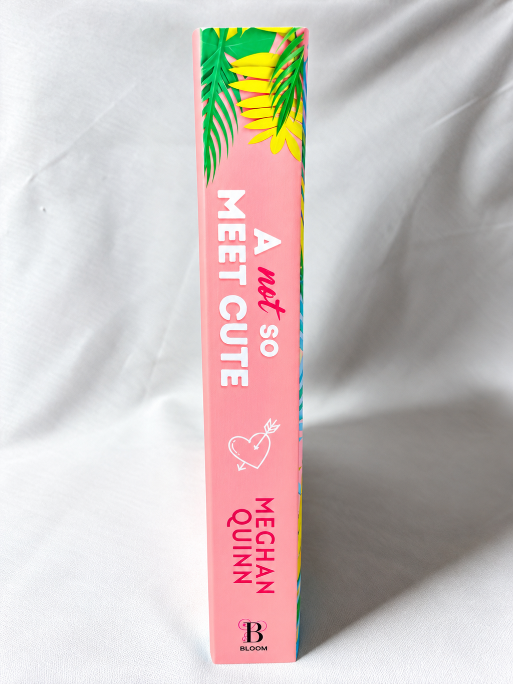 A Not So Meet Cute by Meghan Quinn