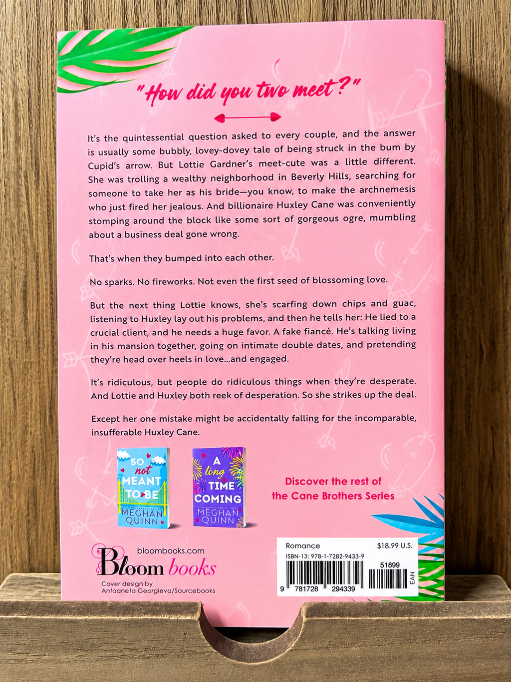 A Not So Meet Cute by Meghan Quinn