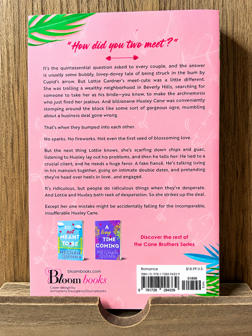 A Not So Meet Cute by Meghan Quinn