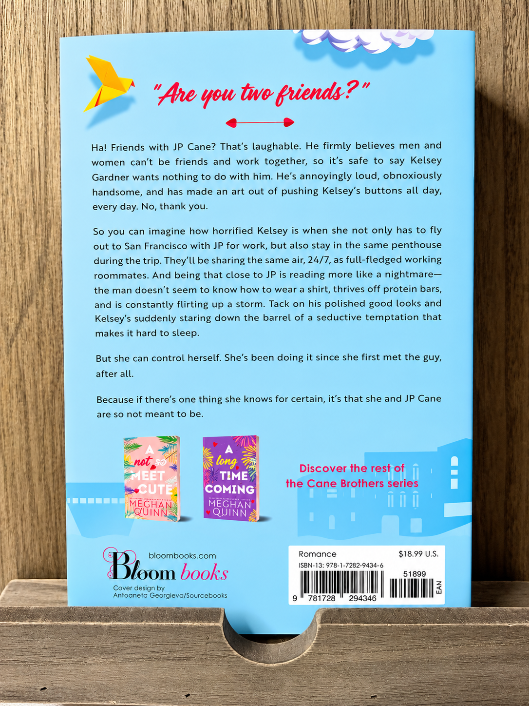 So Not Meant to Be by Meghan Quinn