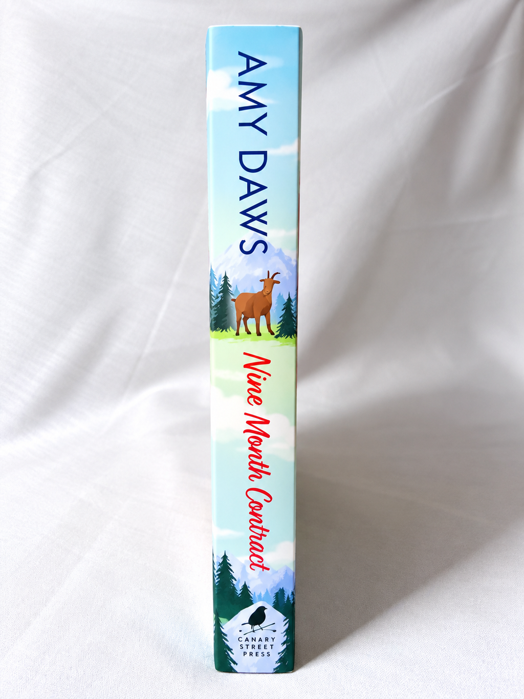 Nine Month Contract by Amy Daws