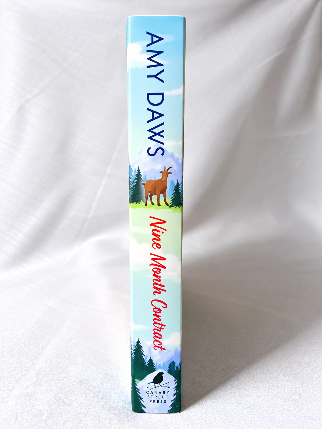 Nine Month Contract by Amy Daws
