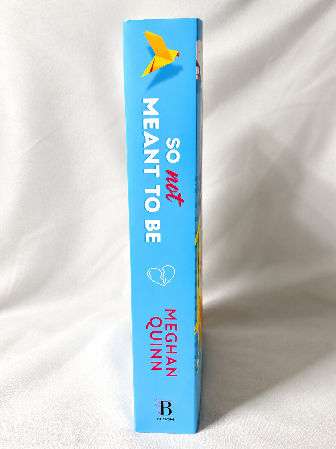 So Not Meant to Be by Meghan Quinn