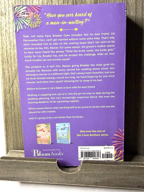 A Long Time Coming by Meghan Quinn