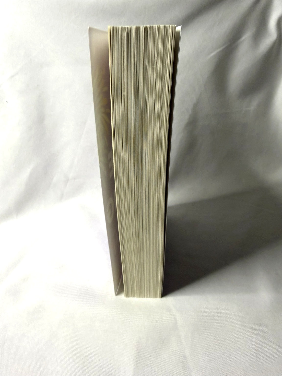 A Long Time Coming by Meghan Quinn