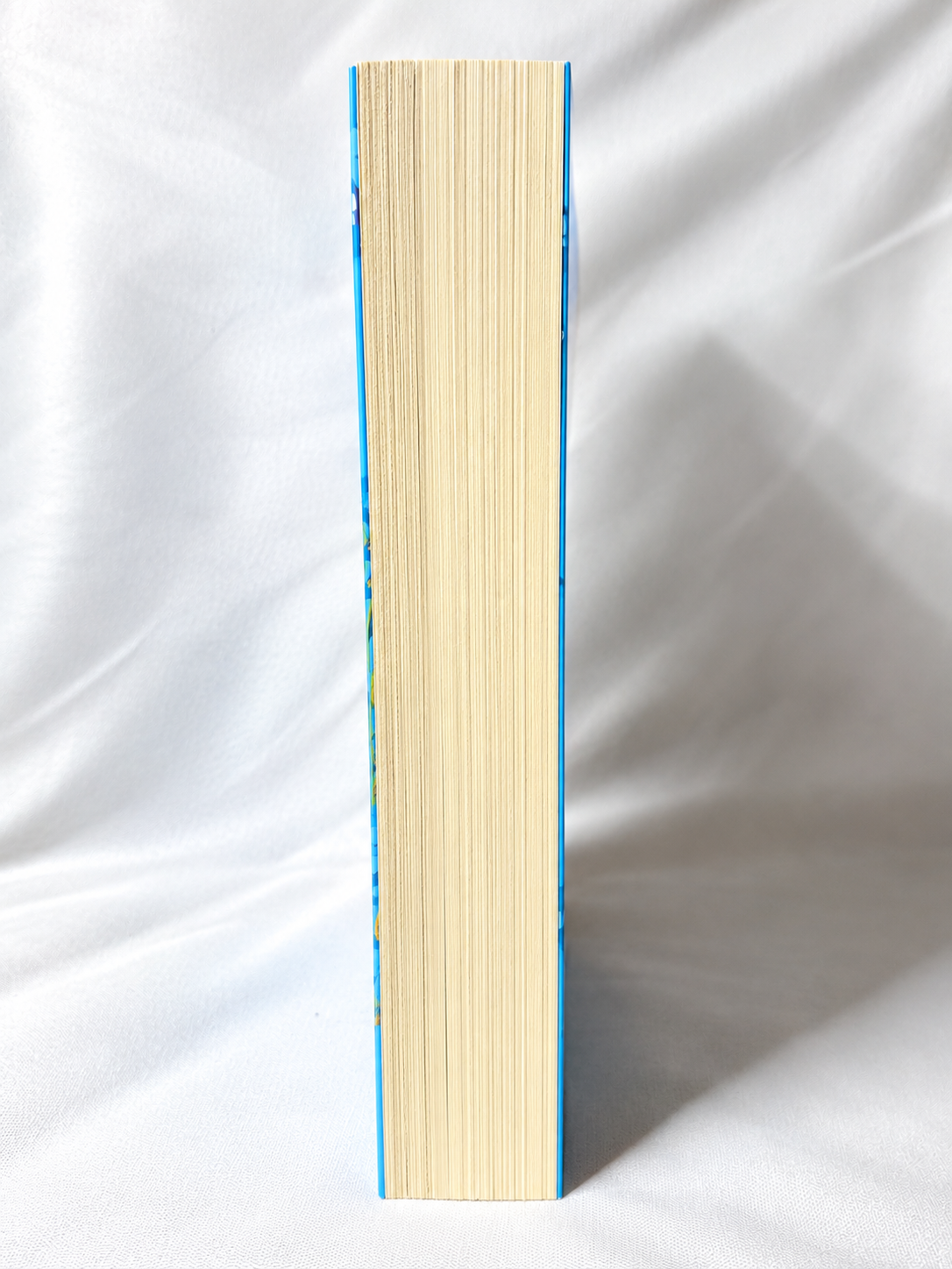 So Not Meant to Be by Meghan Quinn